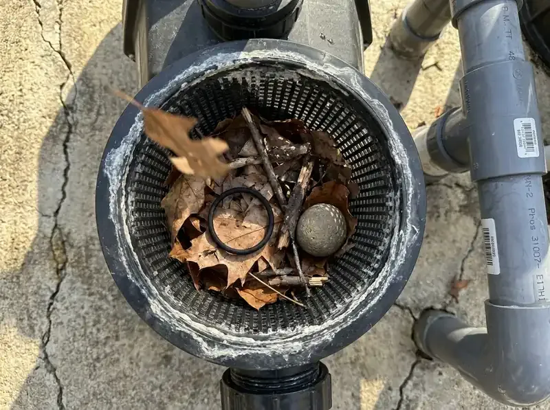open pool pump strainer basket showing accumulated leaves and debris inside